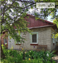 ��������� ��� ��������, �����������, �����������, ������ ���� 1