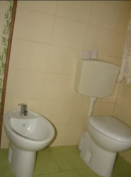 ��������� ��� ϳ�������, �����������, �����������, ������ ���� 18