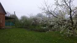 Продам дачний будинок фото 8 Продам дачний будинок фото 8