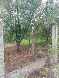 Продается дом Проїзд другий 'Мрії', Хмельницкий, Хмельницкая, Дубово, Мечта фото 8 Продается дом Проїзд другий 'Мрії', Хмельницкий, Хмельницкая, Дубово, Мечта фото 8