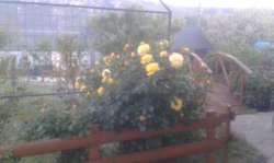 Продается дом Каменец-Подольский, Хмельницкая фото 4 Продается дом Каменец-Подольский, Хмельницкая фото 4