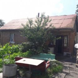 ������ ������� ���� 3