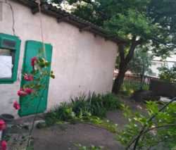 ��������� ��� �����������, �����������, ����� ����� ���� 5