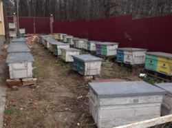 ��������� ��� ˳����, ���������, ������������, ����������� ���� 15