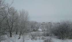 Продается дом Лесовые Гриневцы, Хмельницкий, Хмельницкая фото 4 Продается дом Лесовые Гриневцы, Хмельницкий, Хмельницкая фото 4