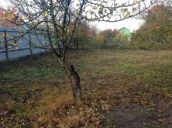 ��������� ��� ��������, �����������, ����������� ���� 6