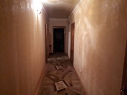 ��������� ��� ���������, ������������, ����������� ���� 7