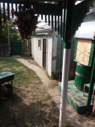 ��������� ��� �����������, �����������, ������ ���� 5