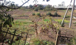 ������ ������� ���� 6