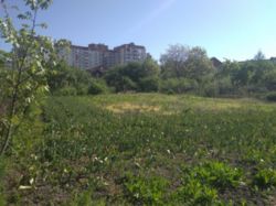 ������ ������� ���� 2