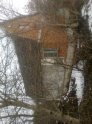 ������ ���� ���� 5