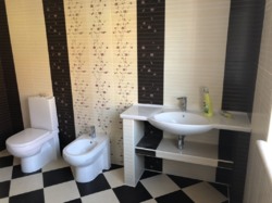 ������ �������, ������� ���� 37