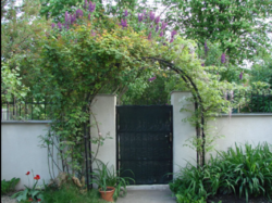 ��������� ��� ϳ�������, �����������, �����������, ������ ���� 5