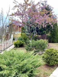 Продается дом Хмельницкая, Каменец-Подольский, Гораевка фото 3 Продается дом Хмельницкая, Каменец-Подольский, Гораевка фото 3