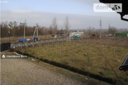 ������ ������� ���� 31