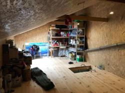 ������ ������� ���� 5