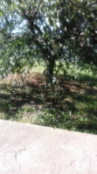 ��������� ��� �����������, �����������, ������ ���� 3