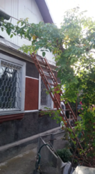 ������ ������� ���� 1