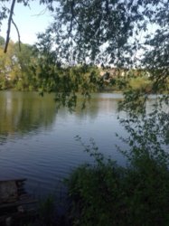 ��������� ��� �����������, ����������� ���� 7