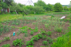 Продаж дачі фото 5 Продаж дачі фото 5