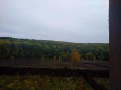 ��������� ��� ��������, ������� ��������, �����������, ����������� ���� 21