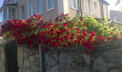 Продается дом Хмельницкая, Хмельницкий, Дубово, старый Аэродром, Ювілейна, 33 фото 5 Продается дом Хмельницкая, Хмельницкий, Дубово, старый Аэродром, Ювілейна, 33 фото 5