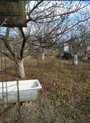 Дачный дом с участком фото 4 Дачный дом с участком фото 4