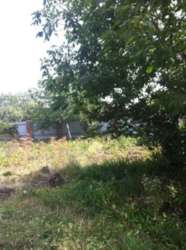 ��������� ��� ��������, �����������, �����������, ������� ���� 1