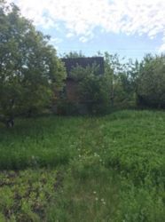 ������ ���� ���� 10