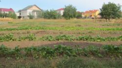 ��������� ��� ����.����������, �����������, �����������, ������� ���� 6