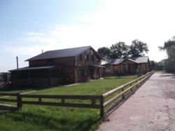 Продается дом Печески, Хмельницкий, Хмельницкая фото 3 Продается дом Печески, Хмельницкий, Хмельницкая фото 3