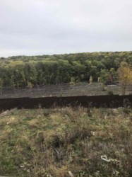 ��������� ��� ��������, ������� ��������, �����������, ����������� ���� 4