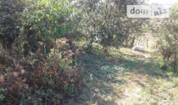 ������ ������� ���� 3