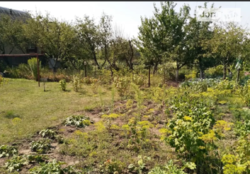 ��������� ��� �������, ��������, �����������, ����������� ���� 11