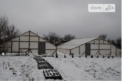 ��������� ��� 5-� ����� �.�����, �����������, �����������, ������ ���� 17