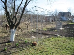 продаж будинку фото 5 продаж будинку фото 5