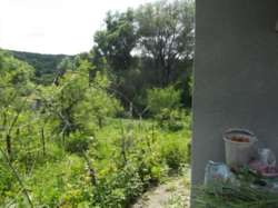 ��������� ��� ���������������, �����������, �����������, �������� ���� ���� 3