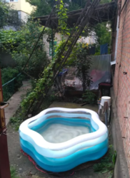 ��������� ��� �����������, �����������, ����� ����� ���� 7