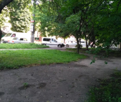 ��������� ��� �����������, �����������, ����� ����� ���� 3