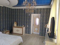 ��������� ��� ���������, �����������, �����������, ������� ���� 40