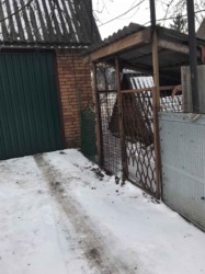 Продается дом Хмельницкая, Хмельницкий, Пироговцы, Леніна фото 37 Продается дом Хмельницкая, Хмельницкий, Пироговцы, Леніна фото 37