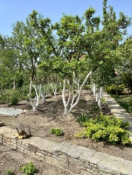 Продается дом Хмельницкая, Каменец-Подольский, Гораевка фото 2 Продается дом Хмельницкая, Каменец-Подольский, Гораевка фото 2