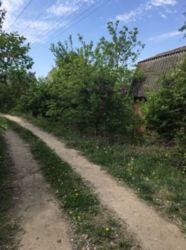 ������ ���� ���� 3