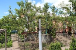 ������ ���� ���� 5