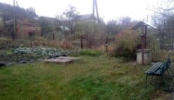 ��������� ������� � �������, 29 000 $ ���� 2