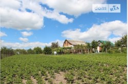 ������ ���� ���� 1