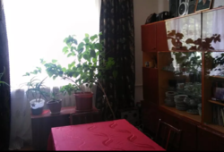 ��������� ��� �����������, �����������, �����������, ������ ���� 5