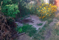 Продаж будинку фото 7 Продаж будинку фото 7