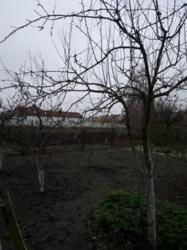 Продаж будинку фото 34 Продаж будинку фото 34