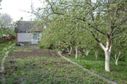 Дача выдровые долы 2 участка фото 9 Дача выдровые долы 2 участка фото 9